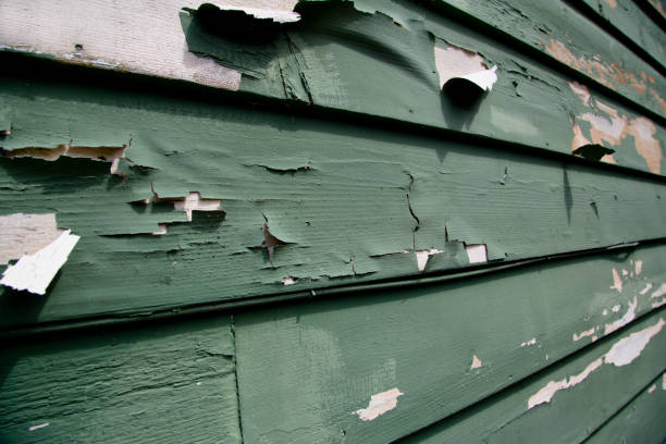 Best Yard Waste Removal  in Crosby, ND